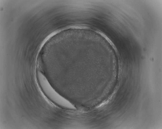 X0000082740853200702240011