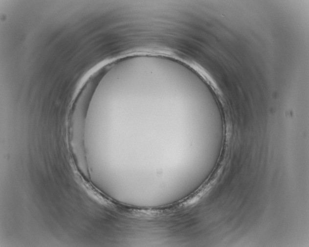 X0000082740854200702240011