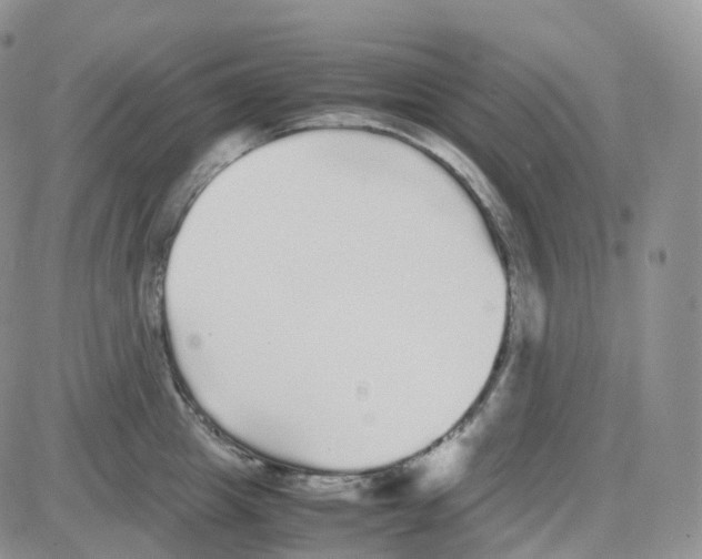 X0000082740857200702240011