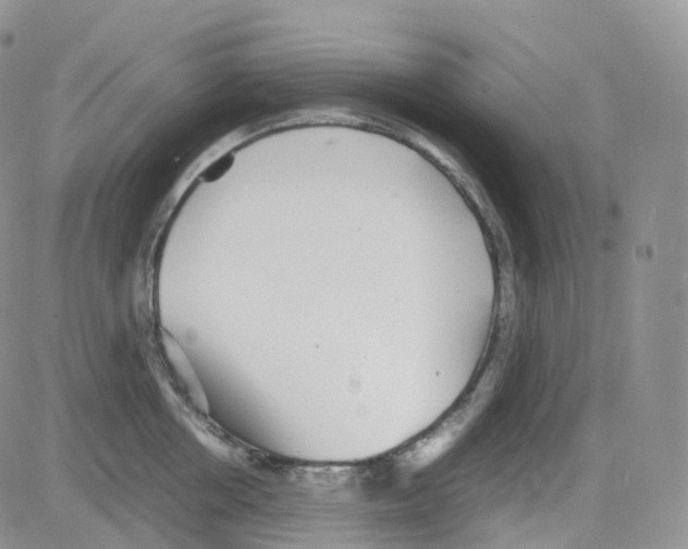 X0000082740858200702240011