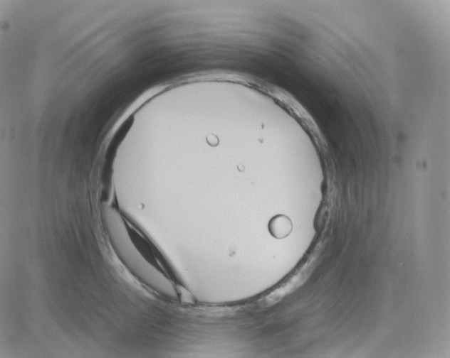 X0000082740860200702240011