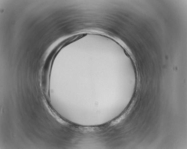 X0000082740862200702240011