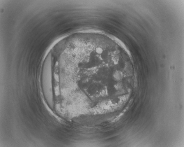 X0000082740863200702240011