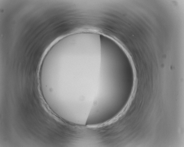 X0000082740864200702240011