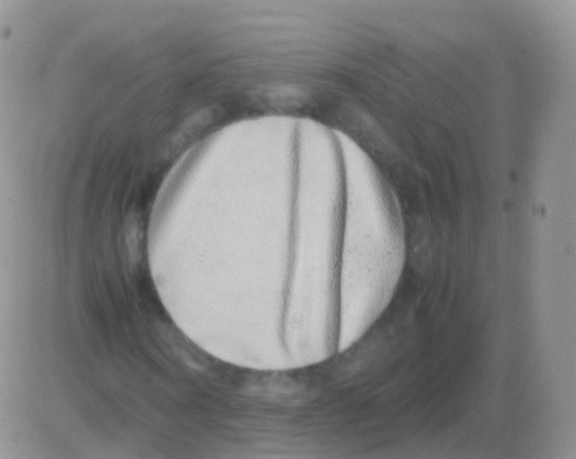 X0000082740866200702240010