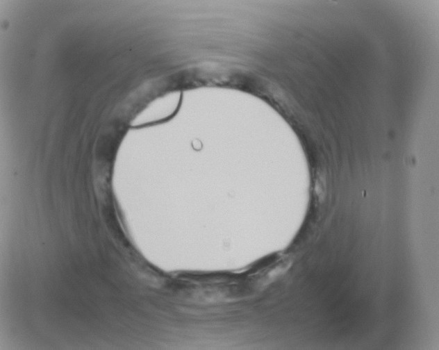 X0000082740867200702240010