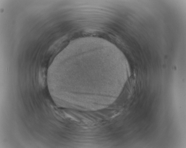 X0000082740868200702240010