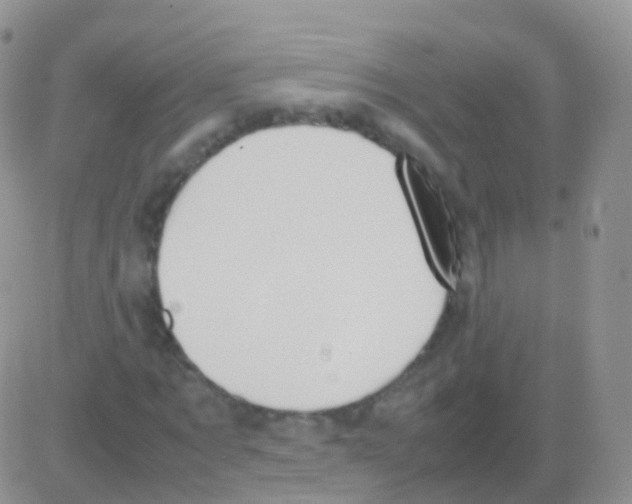 X0000082740869200702240010