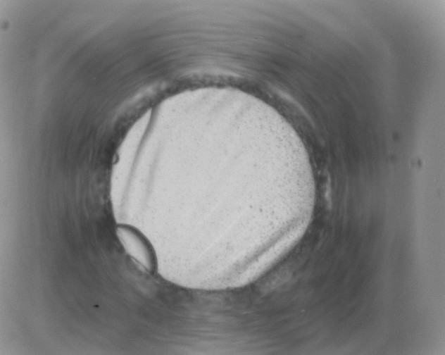 X0000082740870200702240010