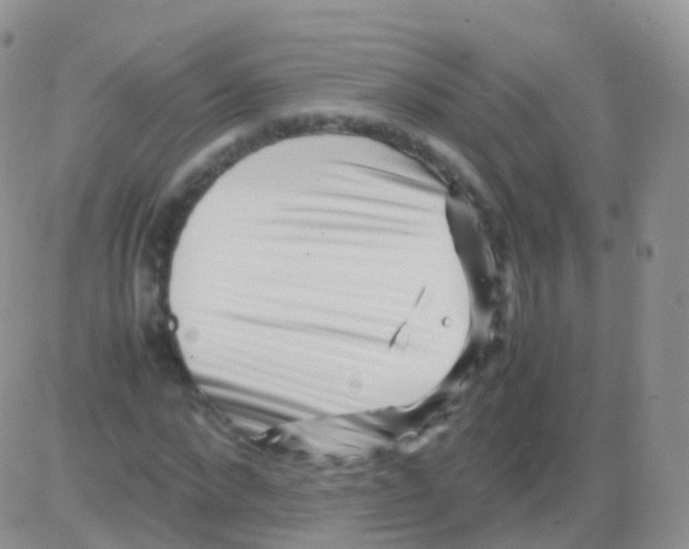 X0000082740872200702240010