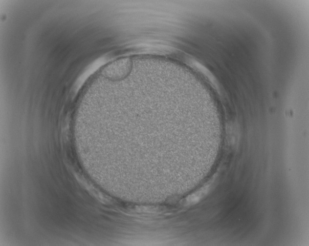 X0000082740875200702240010