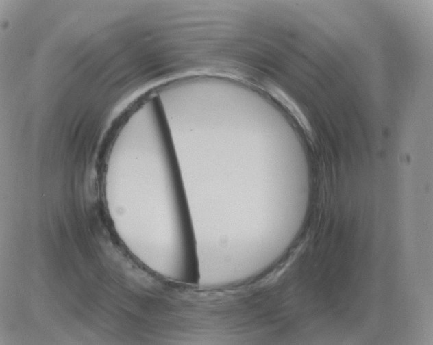 X0000082740876200702240010