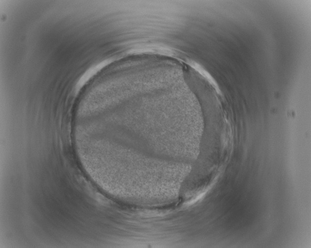 X0000082740877200702240010