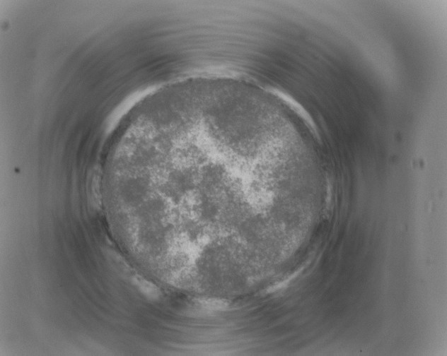 X0000082740878200702240010