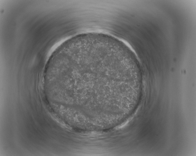 X0000082740879200702240010