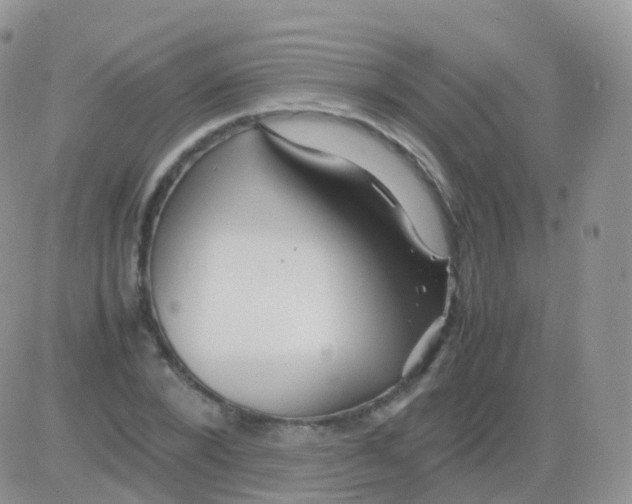 X0000082740880200702240010