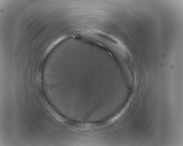 X0000082740881200702240010