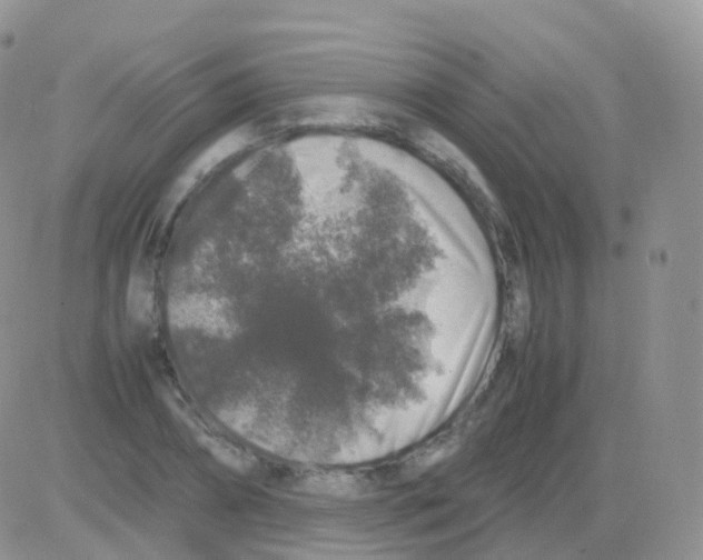 X0000082740882200702240010