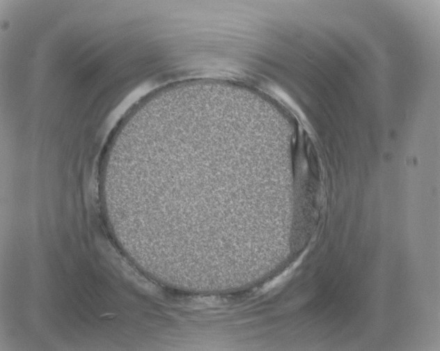 X0000082740883200702240010