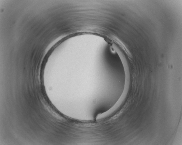 X0000082740884200702240010