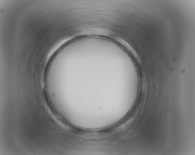 X0000082740885200702240010