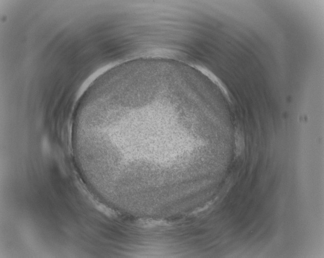 X0000082740886200702240010