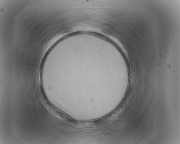 X0000082740887200702240010