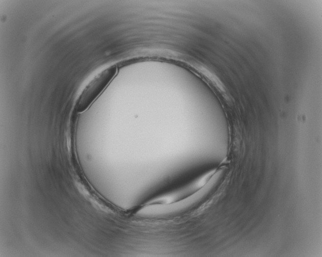 X0000082740888200702240010