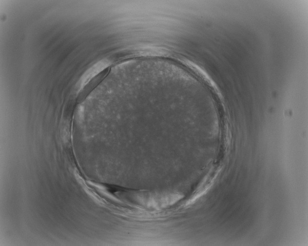 X0000082740889200702240010