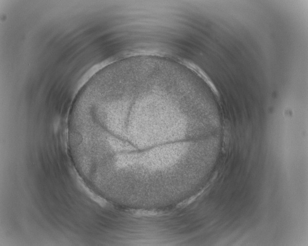 X0000082740890200702240010