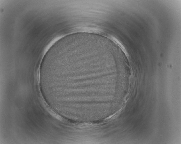 X0000082740891200702240010