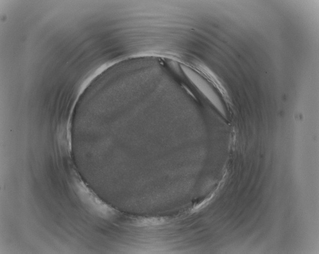 X0000082740892200702240010