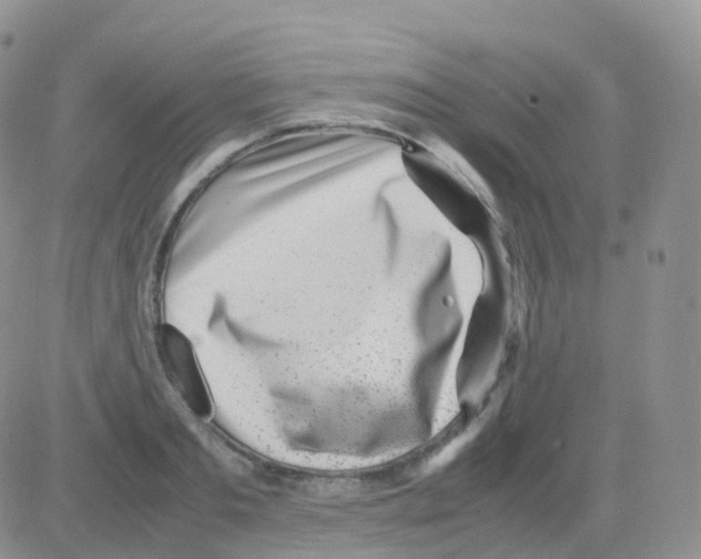 X0000082740893200702240010