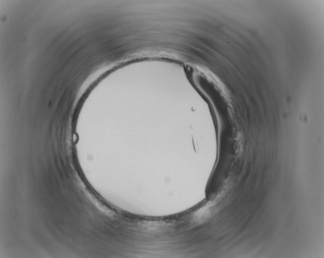 X0000082740894200702240010