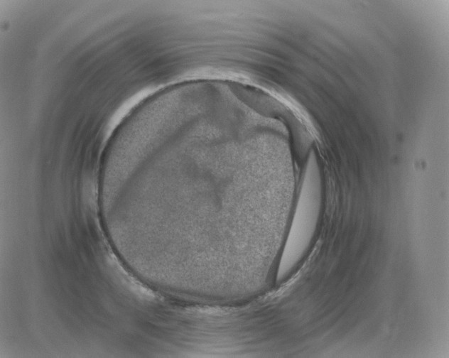 X0000082740896200702240010