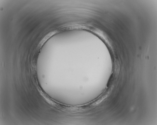 X0000082740897200702240010