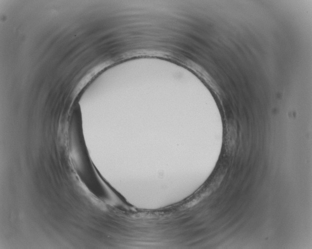 X0000082740898200702240010