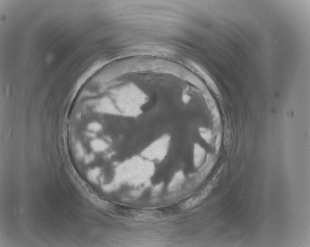 X0000082740899200702240010