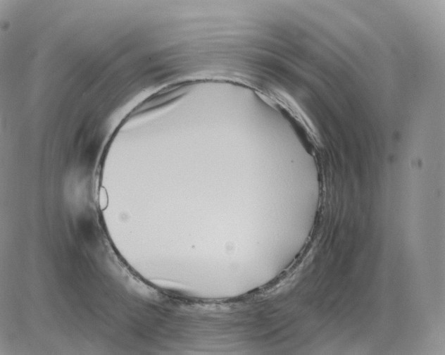 X0000082740900200702240010