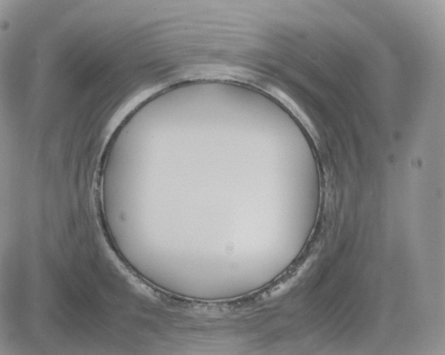 X0000082740901200702240010