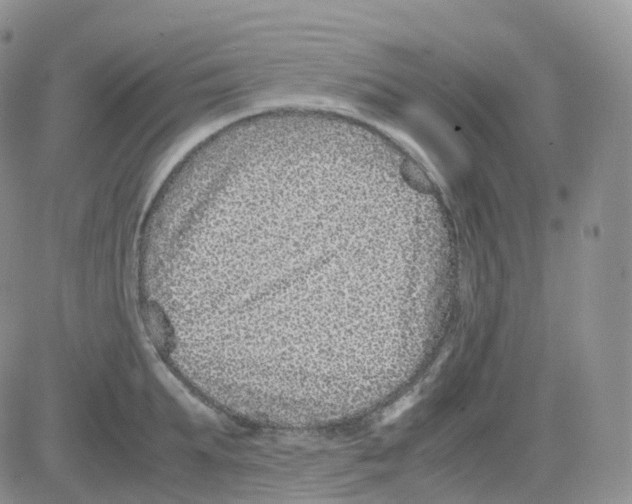 X0000082740903200702240010