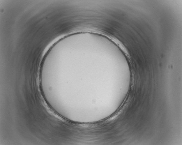 X0000082740904200702240010