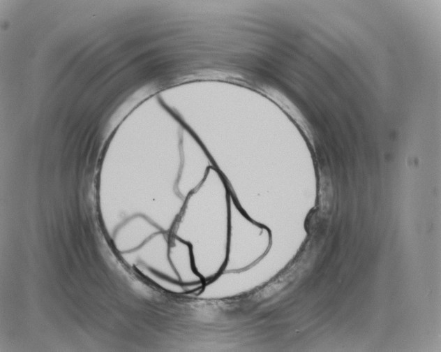 X0000082740906200702240010