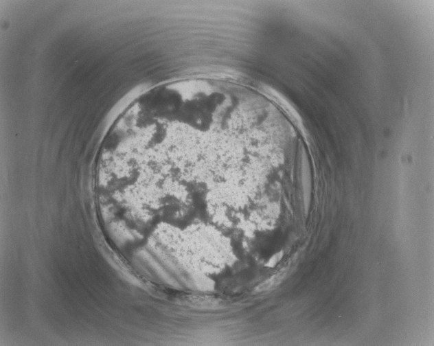 X0000082740907200702240010