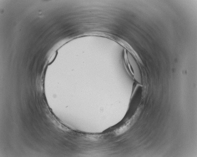 X0000082740908200702240010