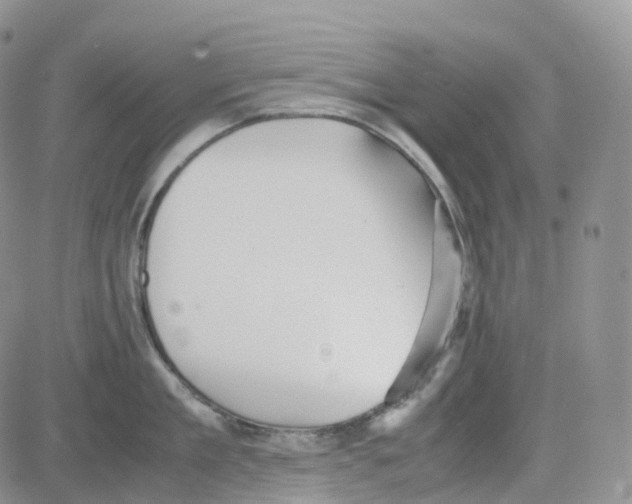 X0000082740909200702240010