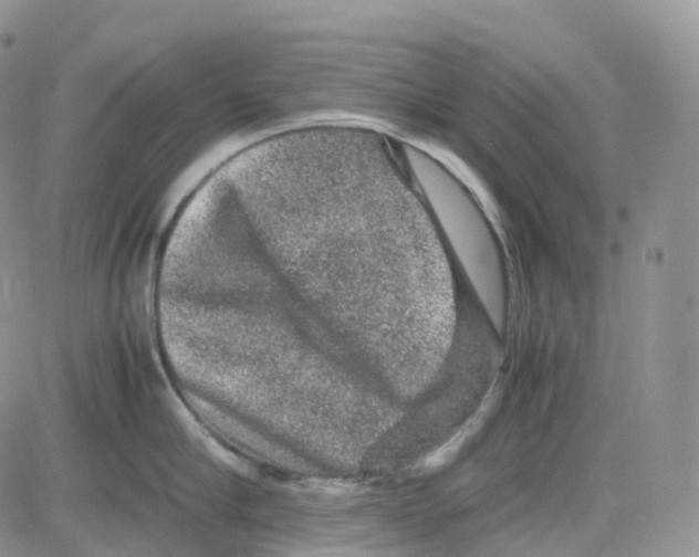 X0000082740910200702240010