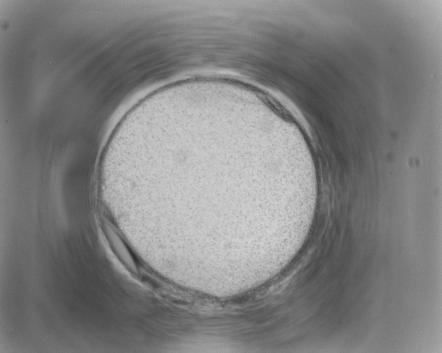 X0000082740911200702240010