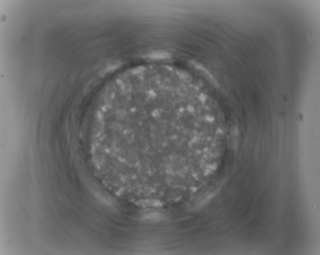 X0000082740913200702240009