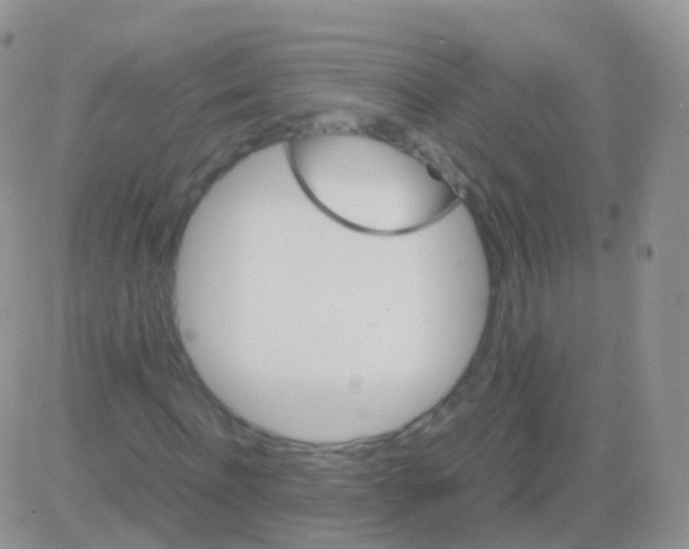 X0000082740916200702240009